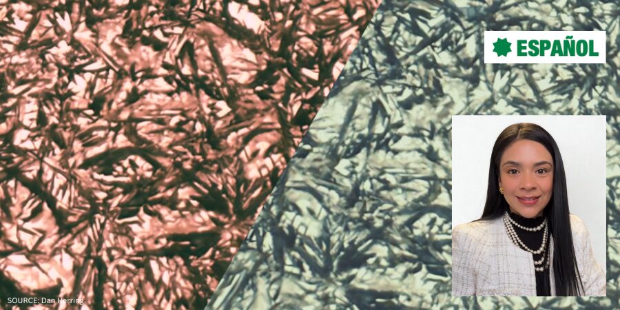 Austenización Insuficiente en el Tratamiento Térmico: Causas, Efectos y Cómo evitarla